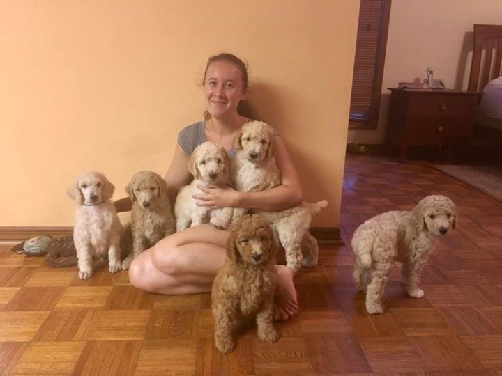 Tatyana with Irka's puppies
