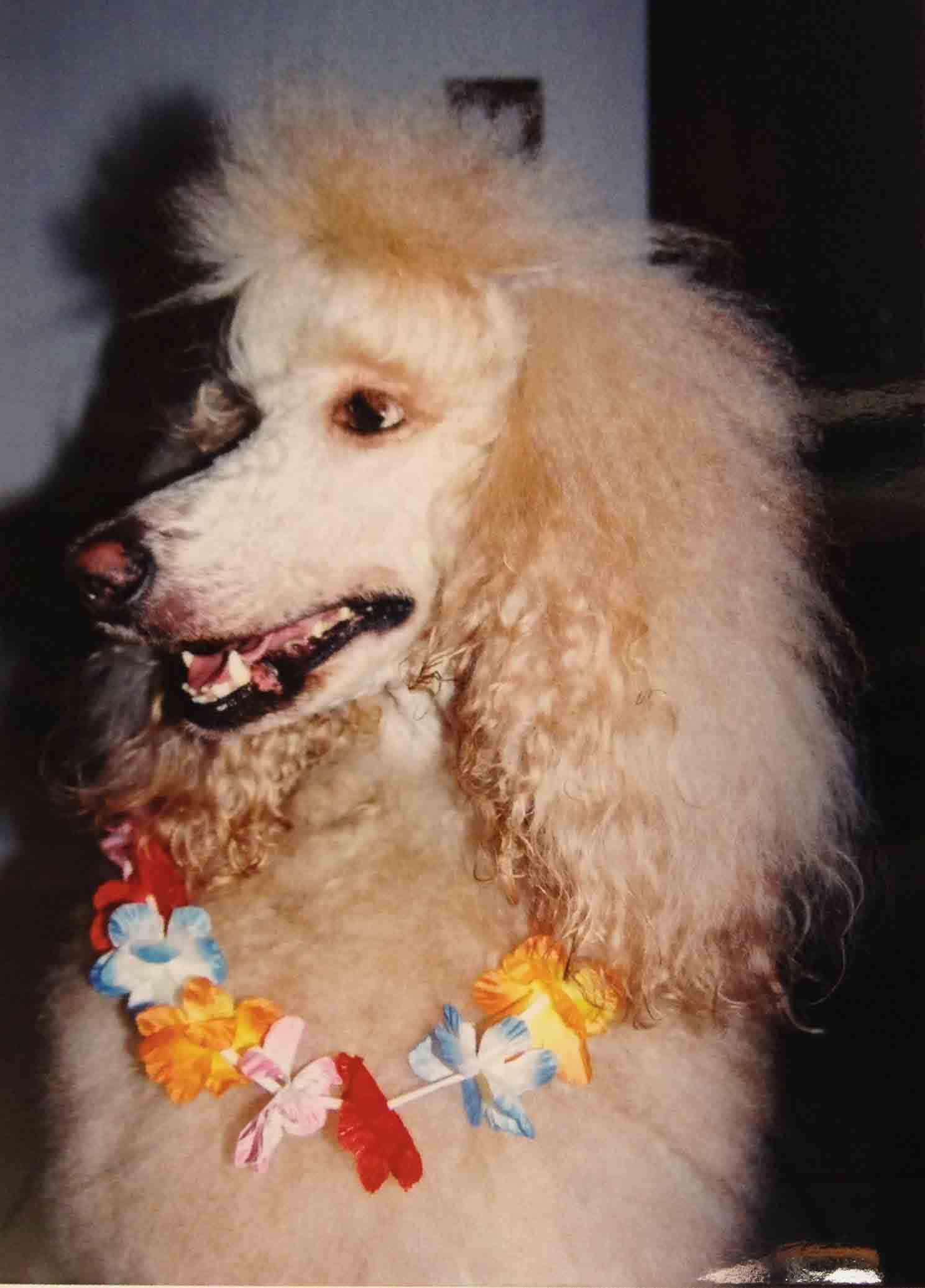 Lora with a garland