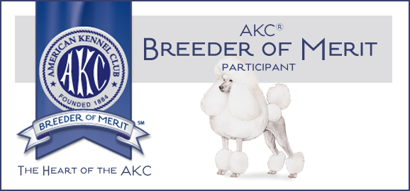 AKC Breeder of Merit Banner